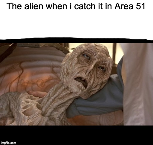 Alien Dying | The alien when i catch it in Area 51 | image tagged in alien dying,memes,funny,area 51,storm area 51,aliens | made w/ Imgflip meme maker