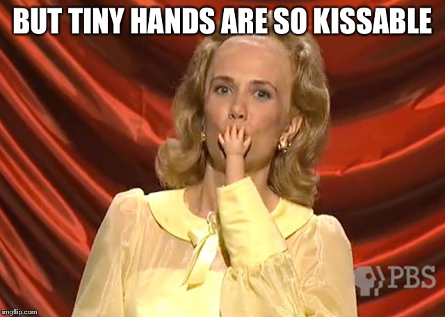 Small hands wiig | BUT TINY HANDS ARE SO KISSABLE | image tagged in small hands wiig | made w/ Imgflip meme maker