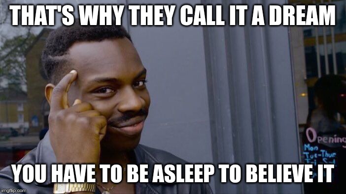 Roll Safe Think About It Meme | THAT'S WHY THEY CALL IT A DREAM YOU HAVE TO BE ASLEEP TO BELIEVE IT | image tagged in memes,roll safe think about it | made w/ Imgflip meme maker