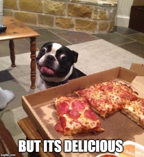 Hungry Pizza Dog | BUT ITS DELICIOUS | image tagged in hungry pizza dog | made w/ Imgflip meme maker