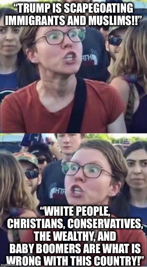 Angry Liberal Hypocrite | “TRUMP IS SCAPEGOATING IMMIGRANTS AND MUSLIMS!!”; “WHITE PEOPLE, CHRISTIANS, CONSERVATIVES, THE WEALTHY, AND BABY BOOMERS ARE WHAT IS WRONG WITH THIS COUNTRY!” | image tagged in angry liberal hypocrite,liberal hypocrisy,liberal logic,democrats,democratic party | made w/ Imgflip meme maker