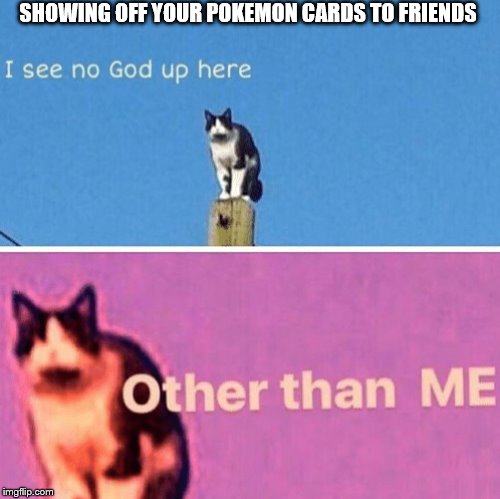 Hail pole cat | SHOWING OFF YOUR POKEMON CARDS TO FRIENDS | image tagged in hail pole cat | made w/ Imgflip meme maker