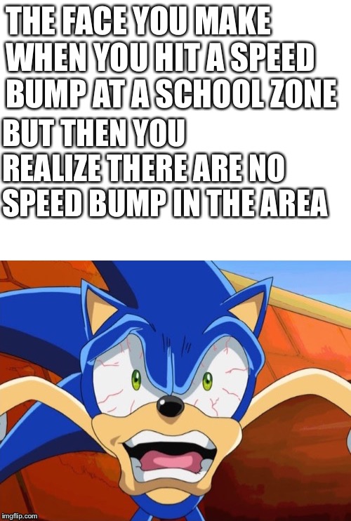 I Guess The Screaming Speed Bump Was TIRED! | THE FACE YOU MAKE WHEN YOU HIT A SPEED BUMP AT A SCHOOL ZONE; BUT THEN YOU REALIZE THERE ARE NO SPEED BUMP IN THE AREA | image tagged in sonic scared face,school zone,speed bump,oh naw,sonic x,the face you make when | made w/ Imgflip meme maker