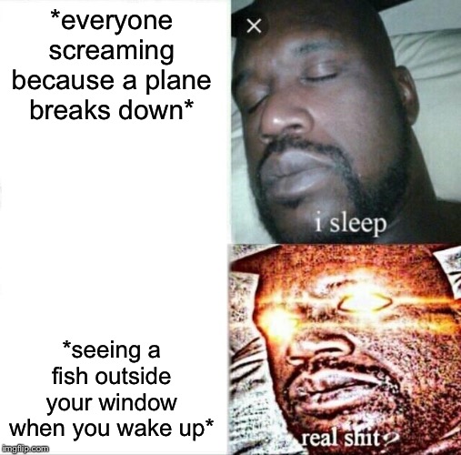 Sleeping Shaq Meme | *everyone screaming because a plane breaks down* *seeing a fish outside your window when you wake up* | image tagged in memes,sleeping shaq | made w/ Imgflip meme maker