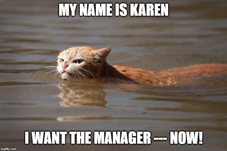 flood cat | MY NAME IS KAREN; I WANT THE MANAGER --- NOW! | image tagged in karen | made w/ Imgflip meme maker