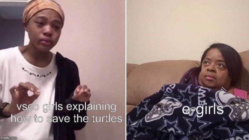 Me explaining to my mom | e-girls; vsco girls explaining how to save the turtles | image tagged in me explaining to my mom | made w/ Imgflip meme maker