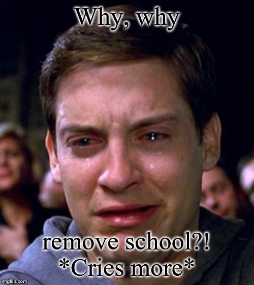 crying peter parker | Why, why remove school?! *Cries more* | image tagged in crying peter parker | made w/ Imgflip meme maker