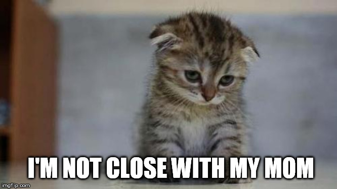 Sad kitten | I'M NOT CLOSE WITH MY MOM | image tagged in sad kitten | made w/ Imgflip meme maker