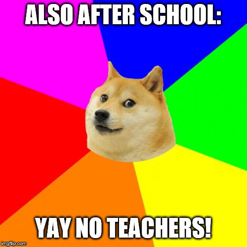 Advice Doge Meme | ALSO AFTER SCHOOL: YAY NO TEACHERS! | image tagged in memes,advice doge | made w/ Imgflip meme maker