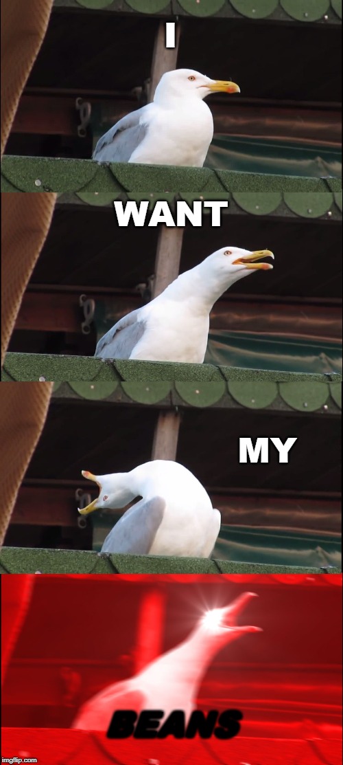 Inhaling Seagull | I; WANT; MY; BEANS | image tagged in memes,inhaling seagull | made w/ Imgflip meme maker