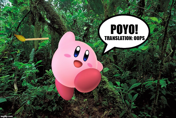 POYO! TRANSLATION: OOPS | made w/ Imgflip meme maker