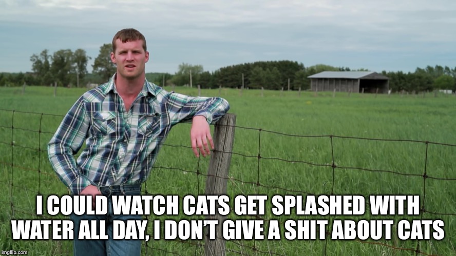 Letterkenny Problems | I COULD WATCH CATS GET SPLASHED WITH WATER ALL DAY, I DON’T GIVE A SHIT ABOUT CATS | image tagged in letterkenny problems | made w/ Imgflip meme maker