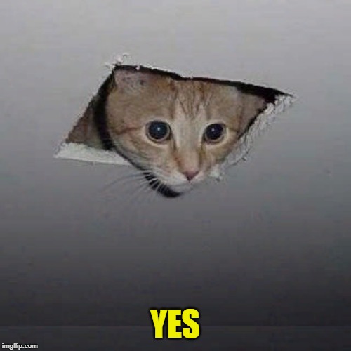 Ceiling Cat Meme | YES | image tagged in memes,ceiling cat | made w/ Imgflip meme maker