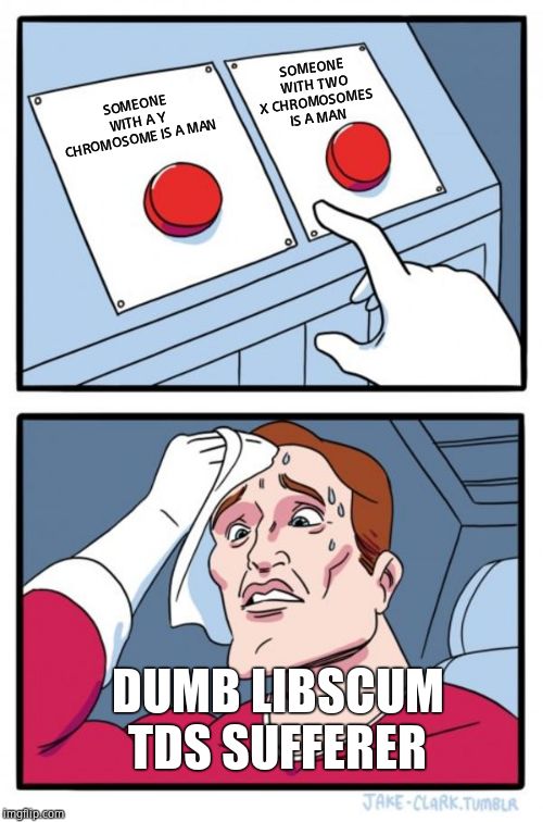 Two Buttons Meme | SOMEONE WITH A Y CHROMOSOME IS A MAN SOMEONE WITH TWO X CHROMOSOMES IS A MAN DUMB LIBSCUM TDS SUFFERER | image tagged in memes,two buttons | made w/ Imgflip meme maker