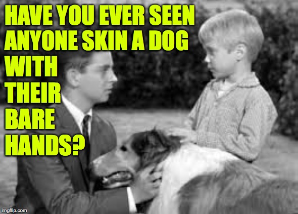HAVE YOU EVER SEEN
ANYONE SKIN A DOG WITH THEIR BARE HANDS? | made w/ Imgflip meme maker
