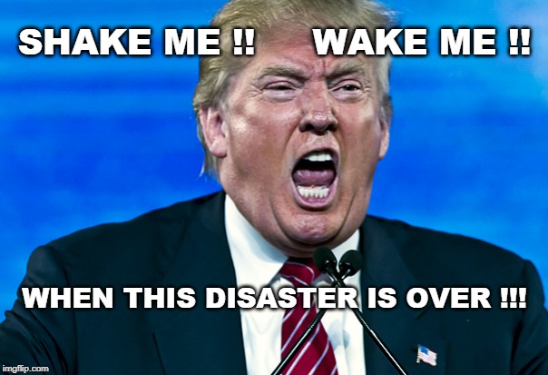 SHAKE ME !!     WAKE ME !! WHEN THIS DISASTER IS OVER !!! | image tagged in trump | made w/ Imgflip meme maker
