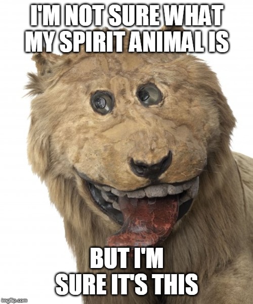 Gripsholm's spirit animal | I'M NOT SURE WHAT MY SPIRIT ANIMAL IS; BUT I'M SURE IT'S THIS | image tagged in spirit animal,lion,wtf | made w/ Imgflip meme maker