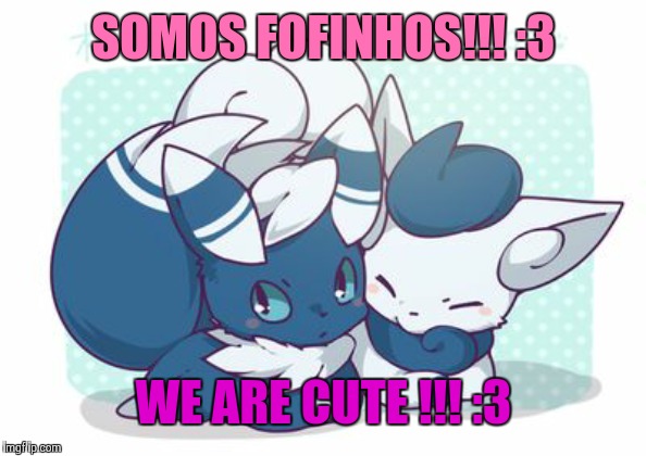 Meowstics | SOMOS FOFINHOS!!! :3; WE ARE CUTE !!! :3 | image tagged in meowstics,cats | made w/ Imgflip meme maker