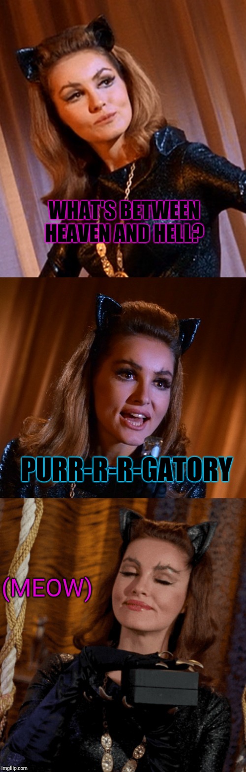 Bad Pun Catwoman | WHAT'S BETWEEN HEAVEN AND HELL? PURR-R-R-GATORY; (MEOW) | image tagged in bad pun catwoman,memes,catwoman | made w/ Imgflip meme maker