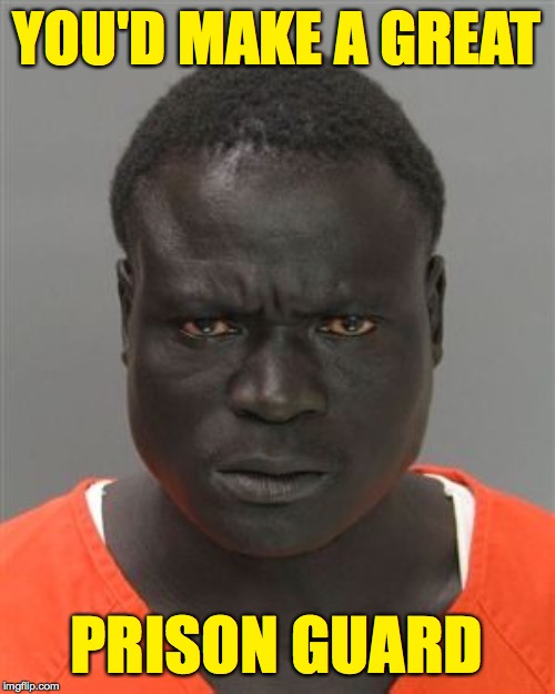 Misunderstood Prison Inmate | YOU'D MAKE A GREAT PRISON GUARD | image tagged in misunderstood prison inmate | made w/ Imgflip meme maker