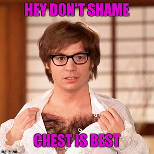 Austin Powers Chest | HEY DON'T SHAME CHEST IS BEST | image tagged in austin powers chest | made w/ Imgflip meme maker