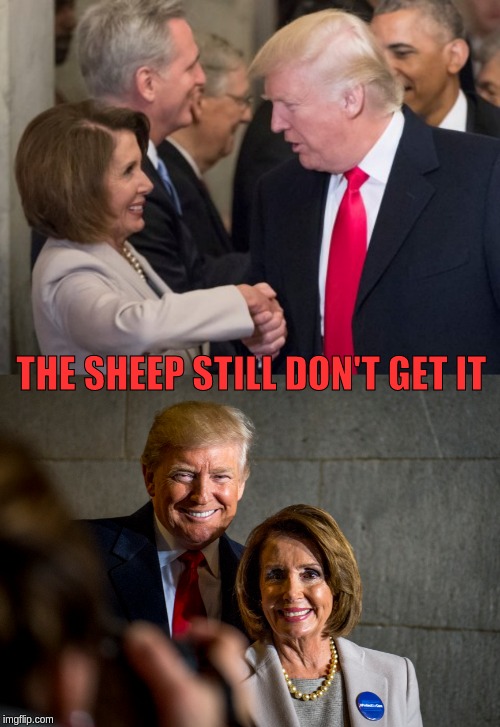 neoliberal zionism | THE SHEEP STILL DON'T GET IT | image tagged in nancy pelosi,donald trump | made w/ Imgflip meme maker