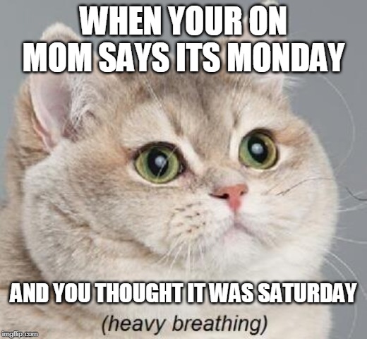 Heavy Breathing Cat | WHEN YOUR ON MOM SAYS ITS MONDAY; AND YOU THOUGHT IT WAS SATURDAY | image tagged in memes,heavy breathing cat | made w/ Imgflip meme maker
