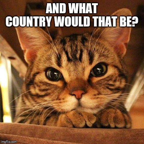AND WHAT COUNTRY WOULD THAT BE? | made w/ Imgflip meme maker
