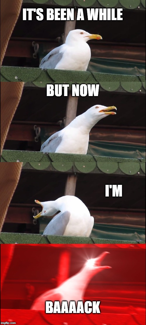 Inhaling Seagull Meme | IT'S BEEN A WHILE; BUT NOW; I'M; BAAAACK | image tagged in memes,inhaling seagull | made w/ Imgflip meme maker