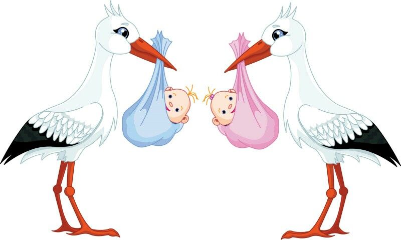 pink stork blue stork Blank Meme Template