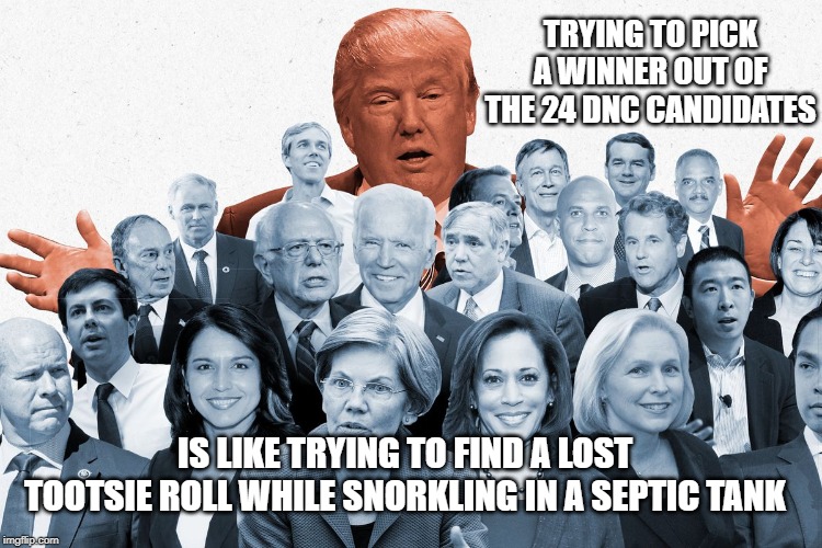 Democrat nominees | TRYING TO PICK A WINNER OUT OF THE 24 DNC CANDIDATES; IS LIKE TRYING TO FIND A LOST TOOTSIE ROLL WHILE SNORKLING IN A SEPTIC TANK | image tagged in democrats,election 2020,candidates,dnc,joe biden,elizabeth warren | made w/ Imgflip meme maker