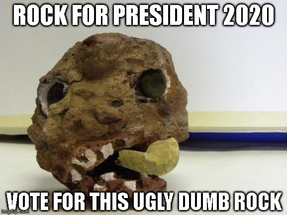 Smarter Than Trump | ROCK FOR PRESIDENT 2020; VOTE FOR THIS UGLY DUMB ROCK | image tagged in anyone but trump 2020,anything but trump 2020,donald trump is an idiot,trump is a moron,impeach trump | made w/ Imgflip meme maker