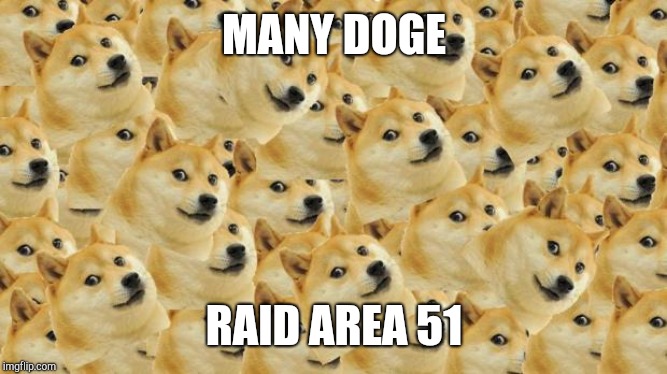 Multi Doge Meme | MANY DOGE; RAID AREA 51 | image tagged in memes,multi doge | made w/ Imgflip meme maker