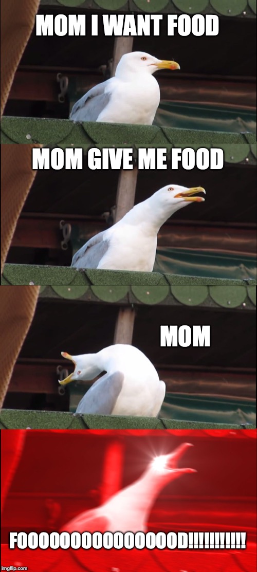 Inhaling Seagull | MOM I WANT FOOD; MOM GIVE ME FOOD; MOM; FOOOOOOOOOOOOOOOD!!!!!!!!!!! | image tagged in memes,inhaling seagull | made w/ Imgflip meme maker