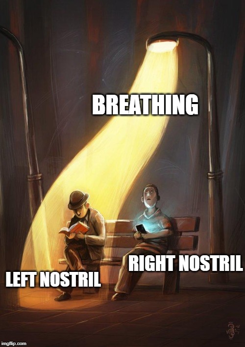 Why does only one of them work!? | BREATHING; RIGHT NOSTRIL; LEFT NOSTRIL | image tagged in streetlight | made w/ Imgflip meme maker