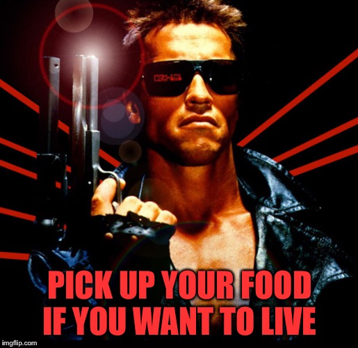 the terminator | PICK UP YOUR FOOD IF YOU WANT TO LIVE | image tagged in the terminator | made w/ Imgflip meme maker