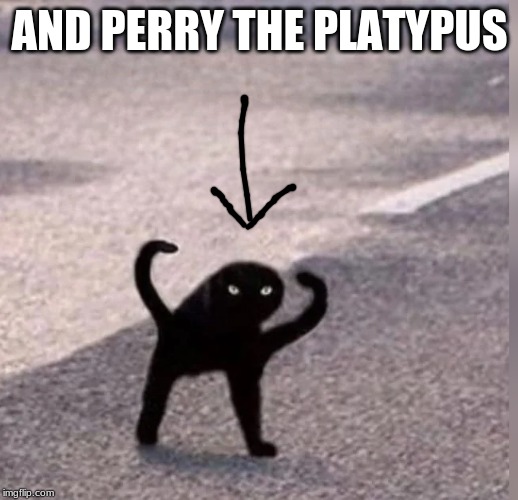 Cursed Cat | AND PERRY THE PLATYPUS | image tagged in cursed cat | made w/ Imgflip meme maker