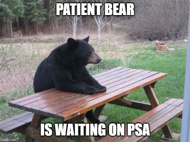 Patient Bear | PATIENT BEAR; IS WAITING ON PSA | image tagged in patient bear | made w/ Imgflip meme maker