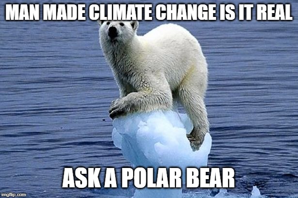 Polar bear climate change | MAN MADE CLIMATE CHANGE IS IT REAL; ASK A POLAR BEAR | image tagged in polar bear climate change | made w/ Imgflip meme maker