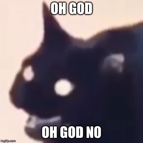 Cursed Cat |  OH GOD; OH GOD N0 | image tagged in cursed cat | made w/ Imgflip meme maker
