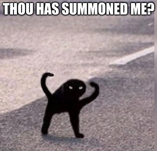 Cursed Cat | THOU HAS SUMMONED ME? | image tagged in cursed cat | made w/ Imgflip meme maker