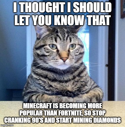 serious cat | I THOUGHT I SHOULD LET YOU KNOW THAT; MINECRAFT IS BECOMING MORE POPULAR THAN FORTNITE, SO STOP CRANKING 90'S AND START MINING DIAMONDS | image tagged in serious cat | made w/ Imgflip meme maker