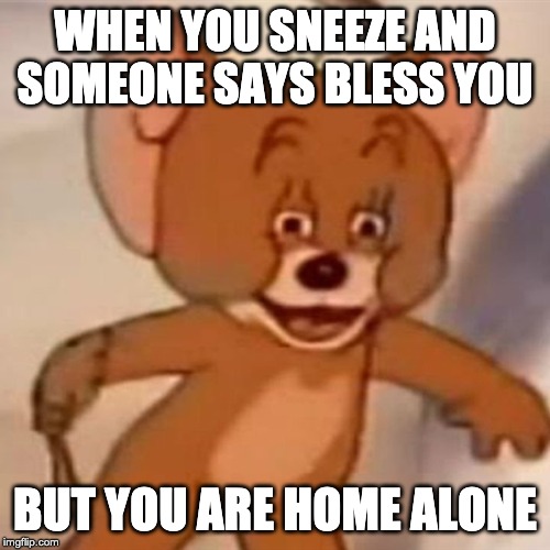 Polish Jerry | WHEN YOU SNEEZE AND SOMEONE SAYS BLESS YOU; BUT YOU ARE HOME ALONE | image tagged in polish jerry | made w/ Imgflip meme maker