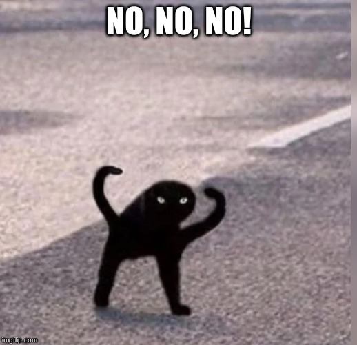 Cursed Cat | NO, NO, NO! | image tagged in cursed cat | made w/ Imgflip meme maker