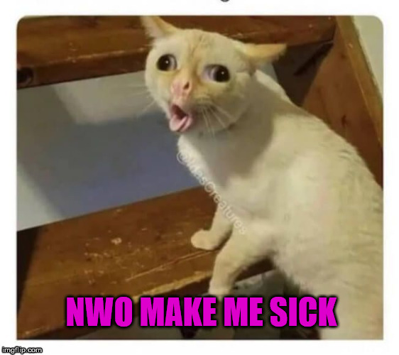 LOUD_VOICE | NWO MAKE ME SICK | image tagged in loud_voice | made w/ Imgflip meme maker