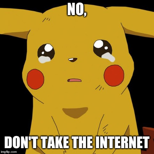 Pikachu crying | NO, DON'T TAKE THE INTERNET | image tagged in pikachu crying | made w/ Imgflip meme maker