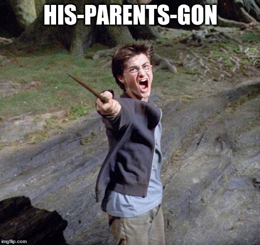 Harry potter | HIS-PARENTS-GON | image tagged in harry potter | made w/ Imgflip meme maker