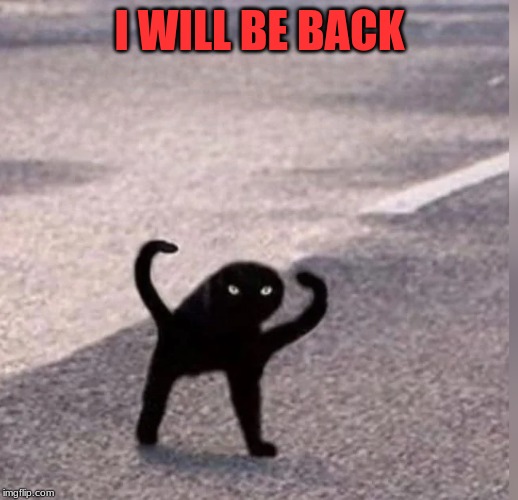 Cursed Cat | I WILL BE BACK | image tagged in cursed cat | made w/ Imgflip meme maker
