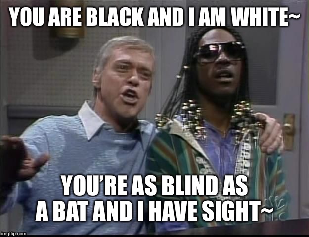 Aired in 1982. Wouldn’t make it out of the studio today | YOU ARE BLACK AND I AM WHITE~; YOU’RE AS BLIND AS A BAT AND I HAVE SIGHT~ | image tagged in frank and stevies - snl | made w/ Imgflip meme maker