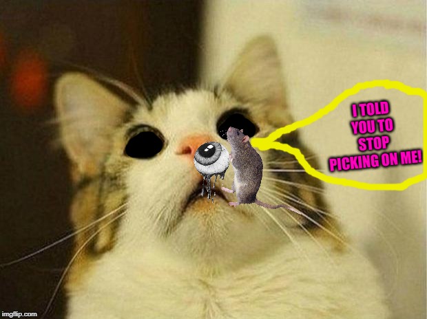 Scared Cat Meme | I TOLD YOU TO STOP PICKING ON ME! | image tagged in memes,scared cat | made w/ Imgflip meme maker